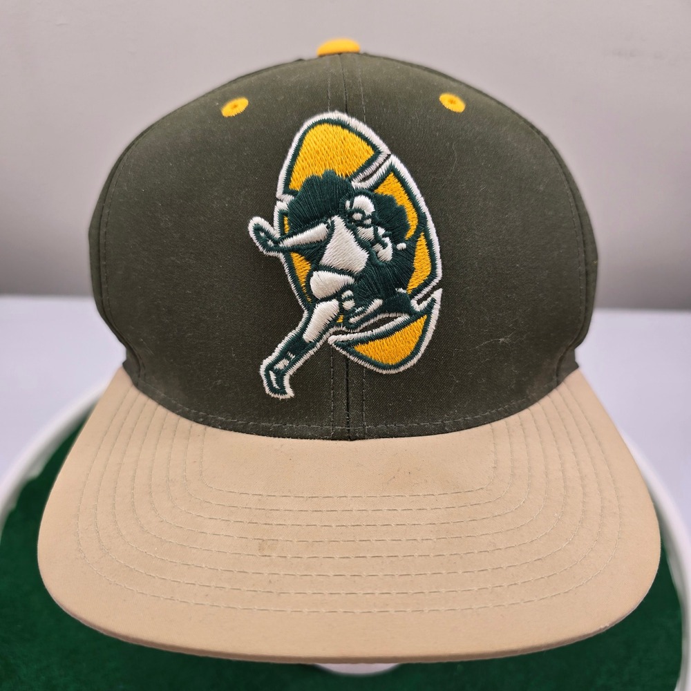 Mitchell & Ness NFL Green Bay Packers Vintage Collection Hat Green Strapback